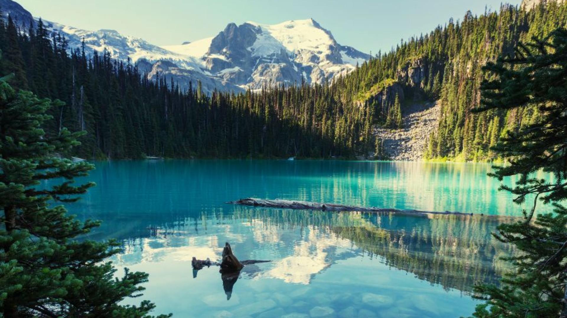 View of blue lake with green trees and mountains